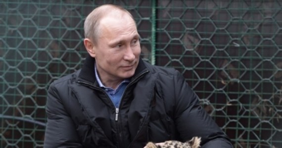 „Igrzyska olimpijskie w Soczi stały się dobrą okazją do poprawy sytuacji ekologicznej w regionie” - powiedział Władimir Putin, który odwiedził pod Soczi centrum hodowli lampartów. Rosyjski przywódca dał się sfotografować z jednym z wielkich kotów. „Kocham zwierzęta. Wyczuwam je” – stwierdził. 