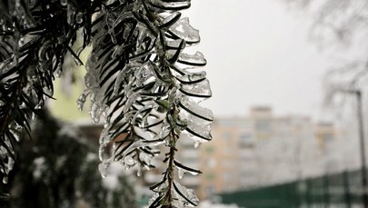 Słowenia bezsilna w walce z zimą