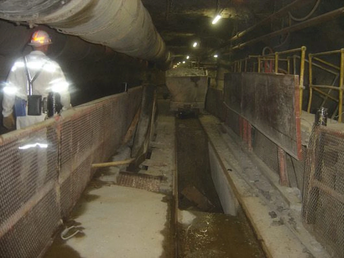 Ciała ośmiu górników znaleźli ratownicy po wypadku w kopalni złota pod Johannesburgiem, gdzie doszło do zawału i wybuchł pożar. Jak poinformowały władze RPA, jedna osoba nadal jest poszukiwana.