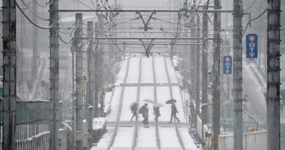 Paraliż komunikacyjny w Japonii. Wszystko przez kolejny w ostatnich dniach atak zimy. Jak poinformowały lokalne media, w wypadkach drogowych zginęły trzy osoby, a ponad 800 zostało rannych.