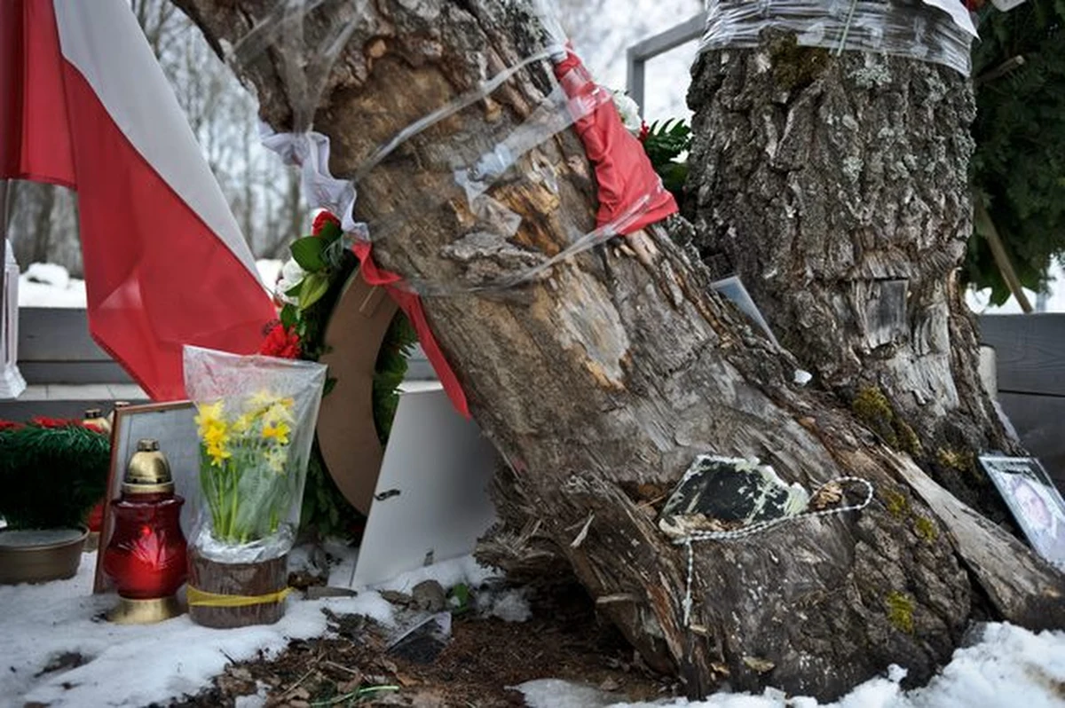 Polscy biegli od dzisiaj znów są w Rosji, aby ponownie skopiować nagrania z kokpitu Tu-154M. Biegli liczą, że przy użyciu nowej metodologii i sprzętu uda się dokonać "skuteczniejszego odsłuchu" zapisu - poinformowała Naczelna Prokuratura Wojskowa.
