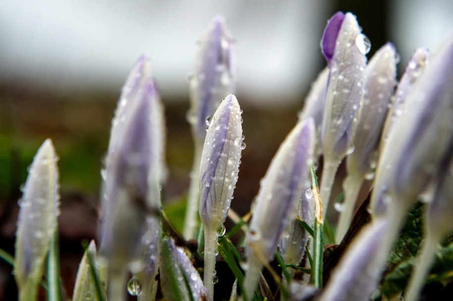 /MAJA HITIJ  /PAP/EPA