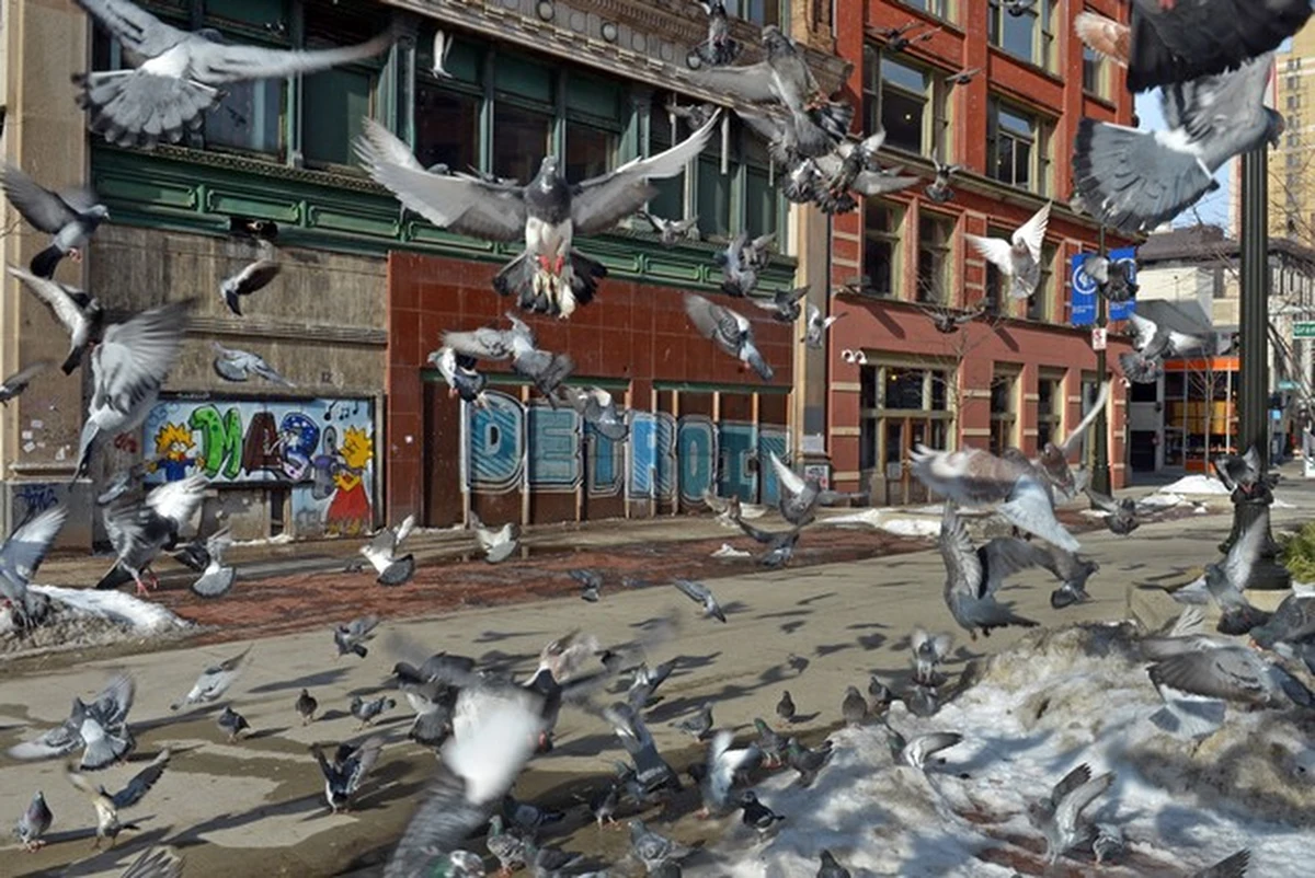 Powołany przez władze stanowe w 2013 r. zarządca Detroit Kevyn Orr przedstawił liczący 440 stron plan uratowania zadłużonego na 18 mld dolarów miasta przed bankructwem. 