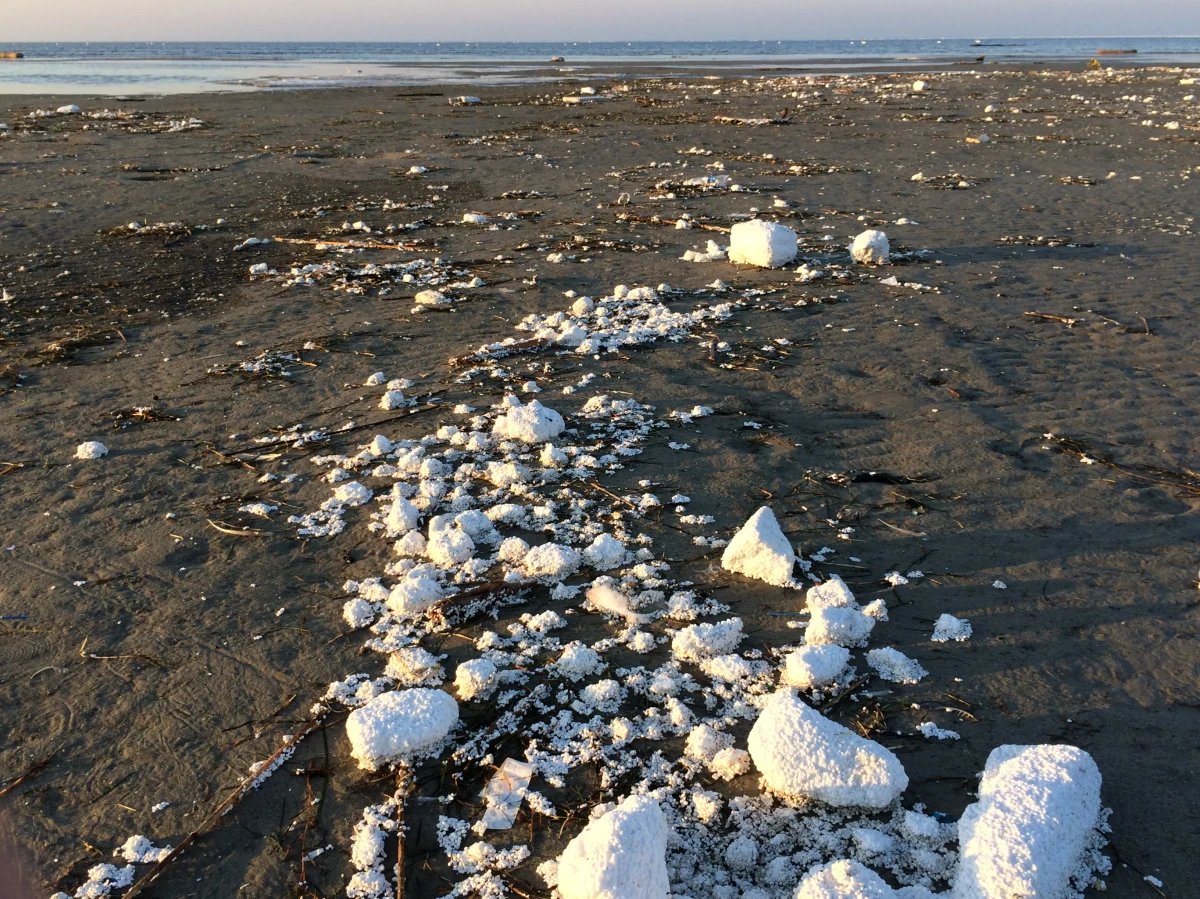 ​Styropian, który wylądował na Półwyspie Helskim pochodzi z inwestycji prowadzonej w Mechelinkach - usłyszał reporter RMF FM Kuba Kaługa od dyrekcji Urzędu Morskiego w Gdyni. Jest tam budowana przystań rybacka z pływającymi pomostami.