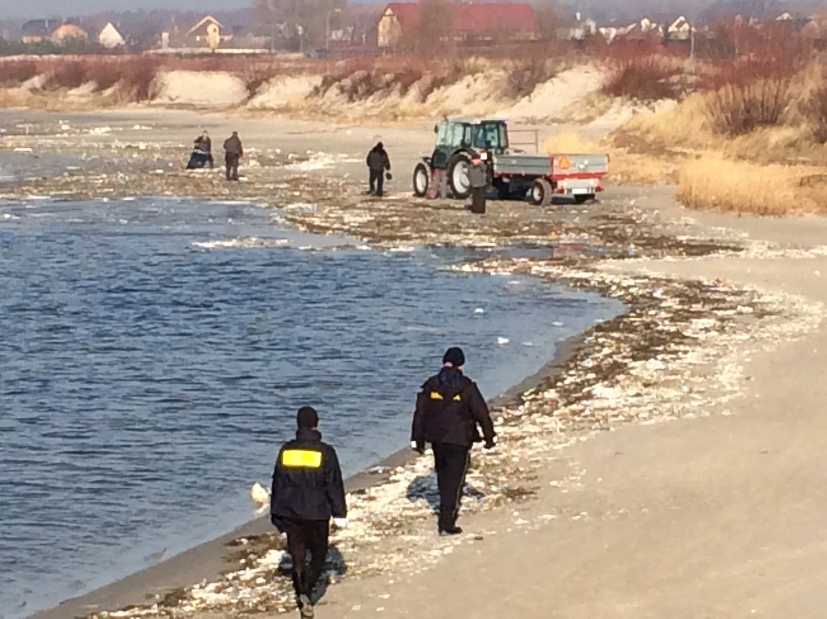 Nawet tygodniami może trwać usuwanie z plaż Półwyspu Helskiego styropianu. Morze wyrzuciło tam ogromne ilości tego materiału. W Urzędzie Morskim w Gdyni nie mają wątpliwości, że to elementy zniszczonej przystani rybackiej, która była budowana w Mechelinkach.