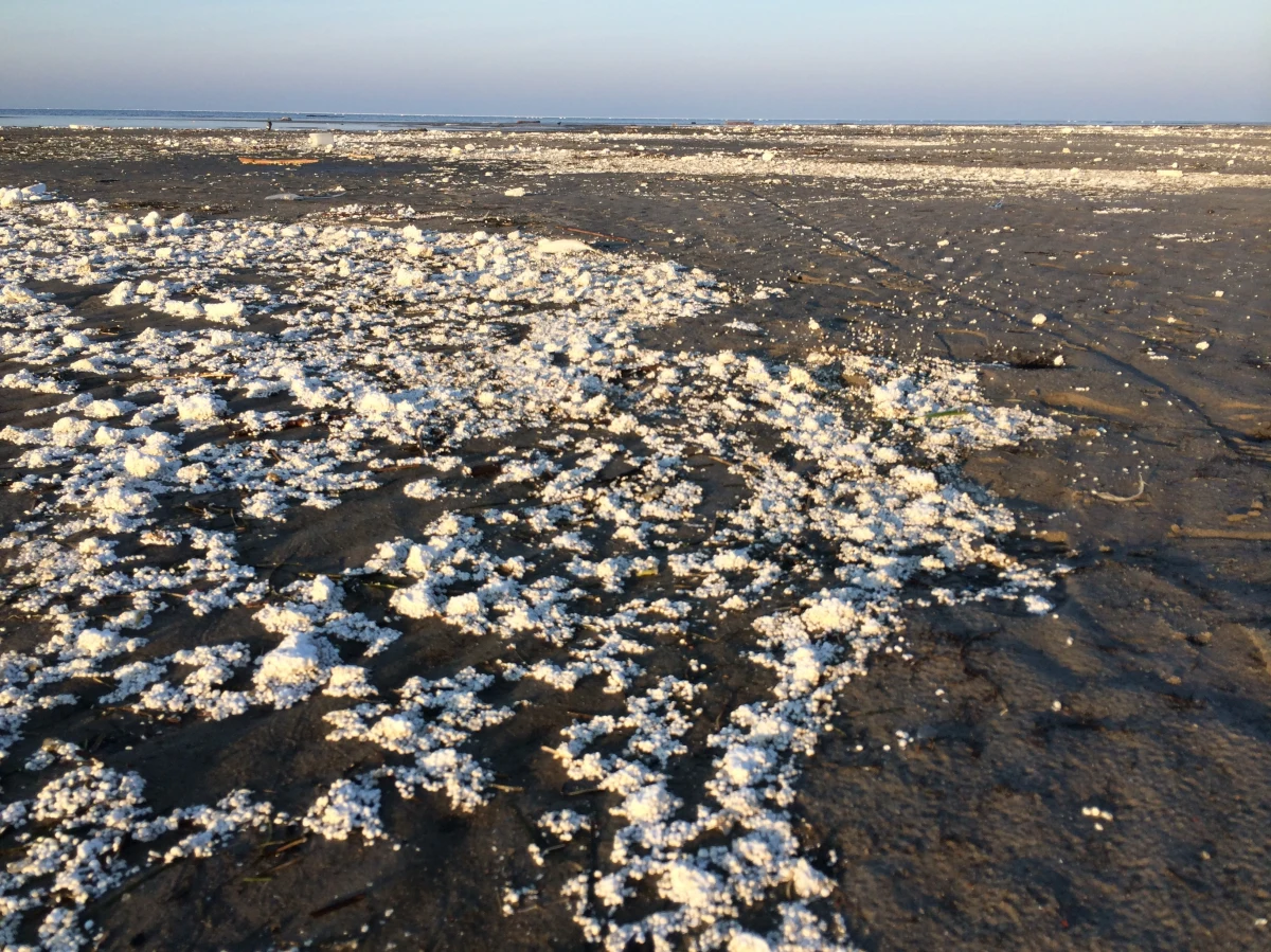 Firma, która buduje przystań żeglarską w Mechelinkach, broni się przed posądzeniami, że odpowiada za zanieczyszczenie plaż na Półwyspie Helskim. Według Urzędu Morskiego, to z jej budowy pochodzi styropian, który w ogromnych ilościach morze wyrzuciło na plażach. Wojewódzki Inspektorat Ochrony Środowiska w Gdańsku wszczął dziś kontrolę w tej sprawie.