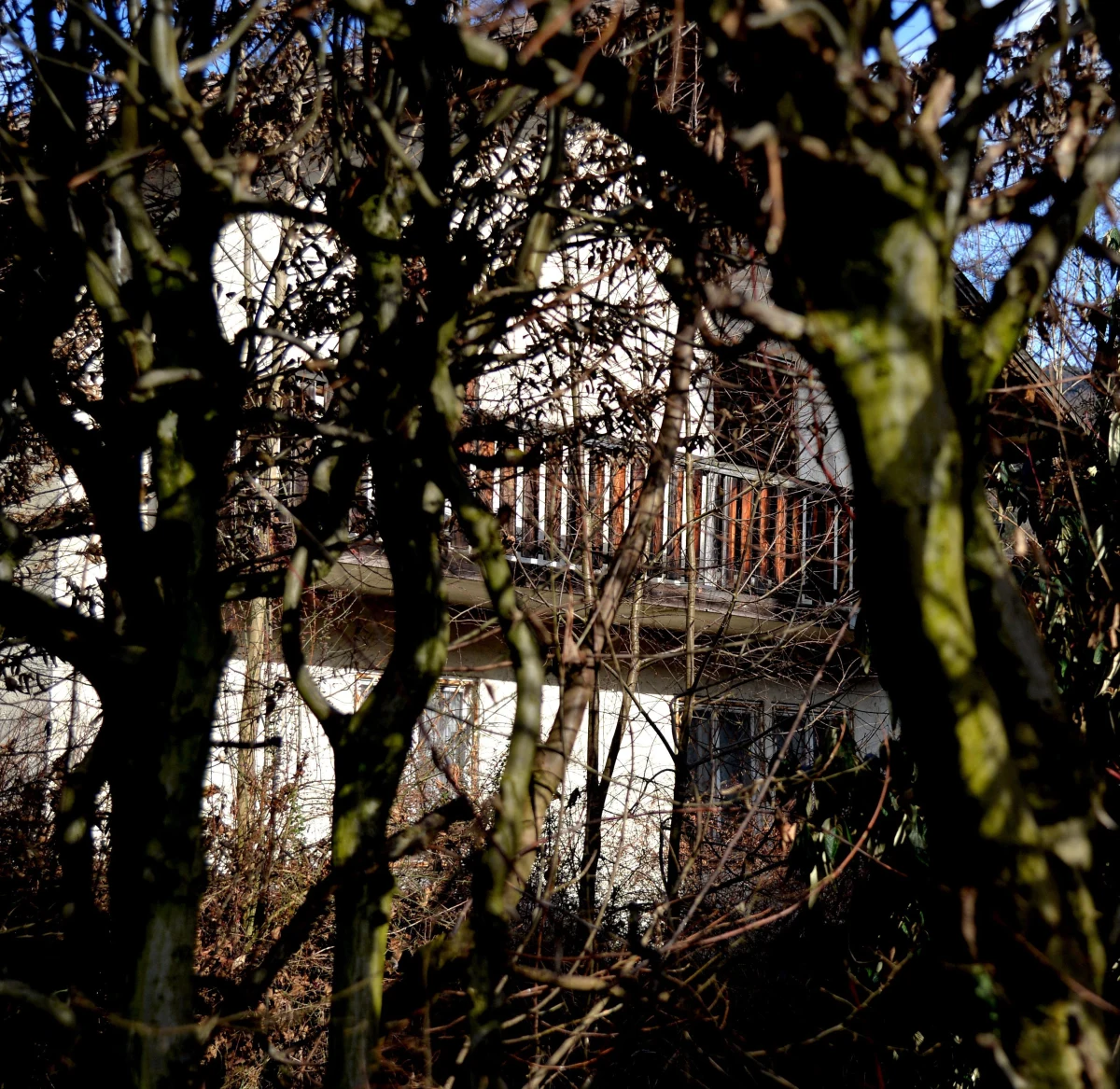 "Niektóre ślady obrazów ze zbiorów Gurlitta prowadzą do Polski" - poinformowała Ingeborg Berggreen-Merkel, szefowa zespołu ekspertów badającego pochodzenie dzieł sztuki z kolekcji odnalezionej w zeszłym roku w Monachium i zawierającej eksponaty zrabowane przez III Rzeszę. Polski konsulat w Monachium podawał wcześniej, że w zabezpieczonych przez bawarskie władze zbiorach mogą znajdować się przedmioty z kolekcji polskich rodzin Lanckorońskich i Lubomirskich, ukradzione przez Niemców w czasie wojny. Część z nich przeznaczona była do planowanego przez Hitlera muzeum sztuki w austriackim Linzu.