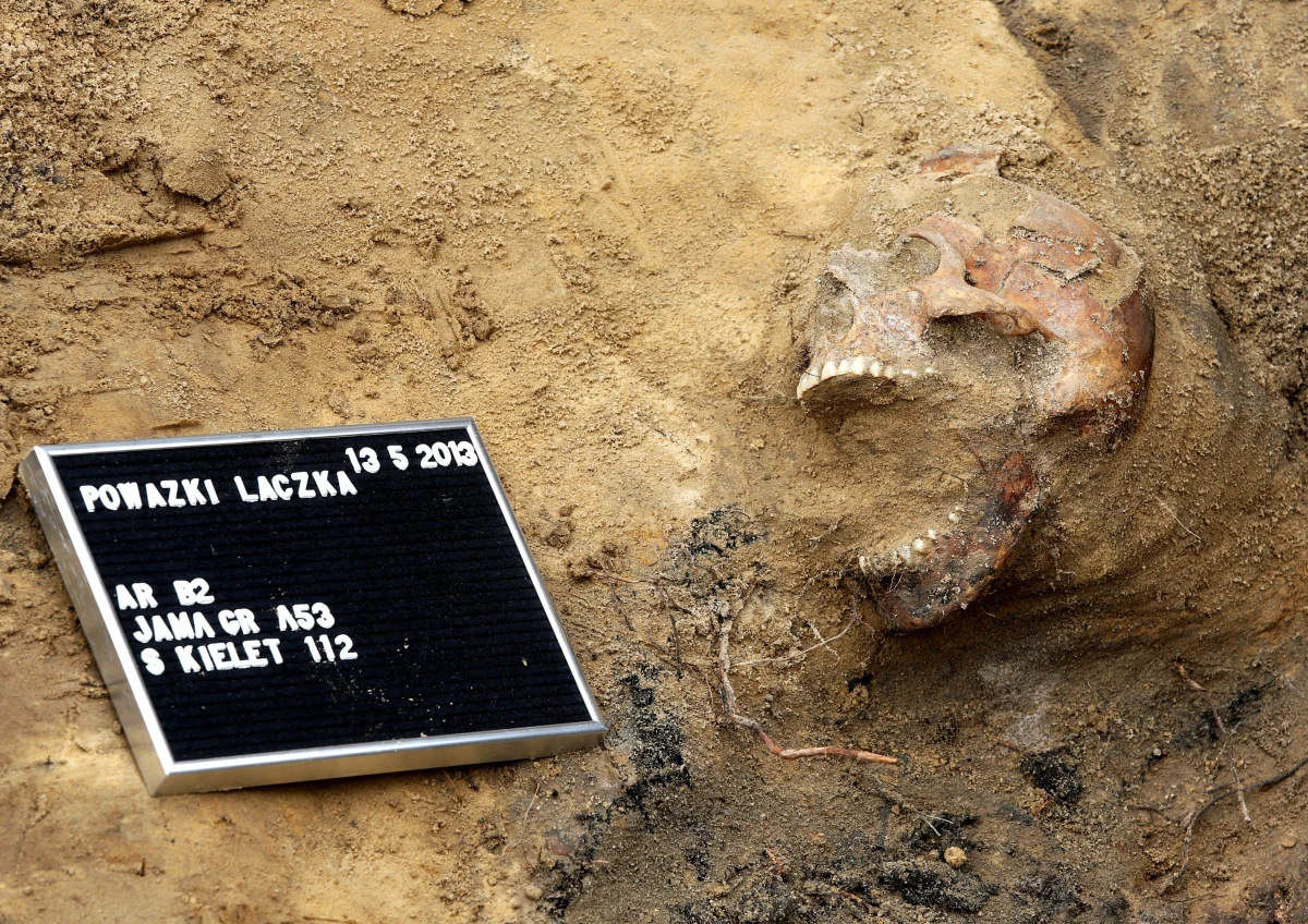 Coraz więcej wskazuje na to, że dopiero kolejne poszukiwania mogą doprowadzić do odnalezienia miejsc pochówku gen. Fieldorfa "Nila" i rotmistrza Witolda Pileckiego. Wśród dotychczas ekshumowanych i zidentyfikowanych ofiar represji stalinowskich nie ma tych postaci i - jak wynika z informacji RMF FM - nie będzie ich także wśród tych zidentyfikowanych, których nazwiska zostaną ogłoszone w przeddzień Narodowego Dnia Pamięci "Żołnierzy Wyklętych".