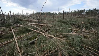 20 mln zł na usuwanie strat nawałnicach