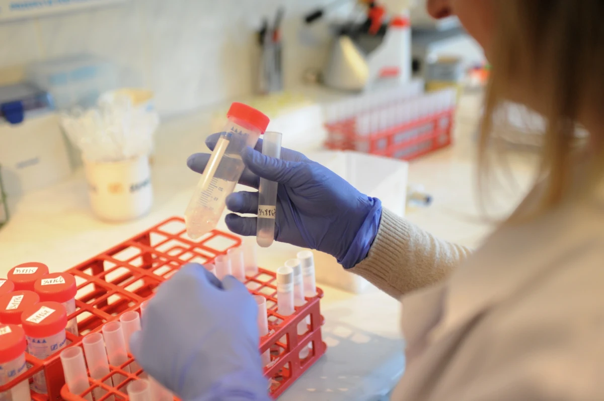 Nową, obiecującą metodę terapii nowotworów testują naukowcy z Instytutu Paula Ehrlicha i Kliniki Uniwersyteckiej w Tybindze. Próbują oni niszczyć komórki raka, zarażając chorych wirusem odry. Metodę opisuje serwis medexpress.pl, powołując się Deutsche Welle.