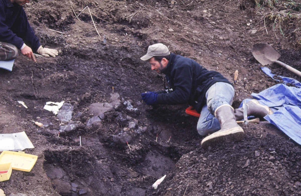 Na Alasce odkryto czaszkę niewielkiego kuzyna strasznego tyranozaura. Dzięki znalezisku można lepiej poznać różnorodność biologiczną tej strefy klimatycznej pod koniec okresu kredowego - informują naukowcy na łamach pisma "Public Library of Science ONE".
