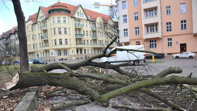 Wichury nie dają za wygraną. Prawie 2500 interwencji