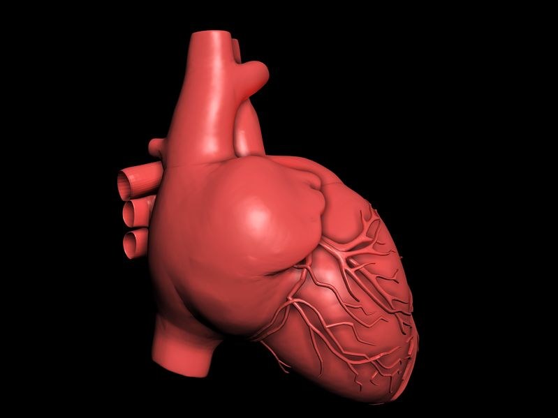 Kardiochirurgia - najważniejsze informacje