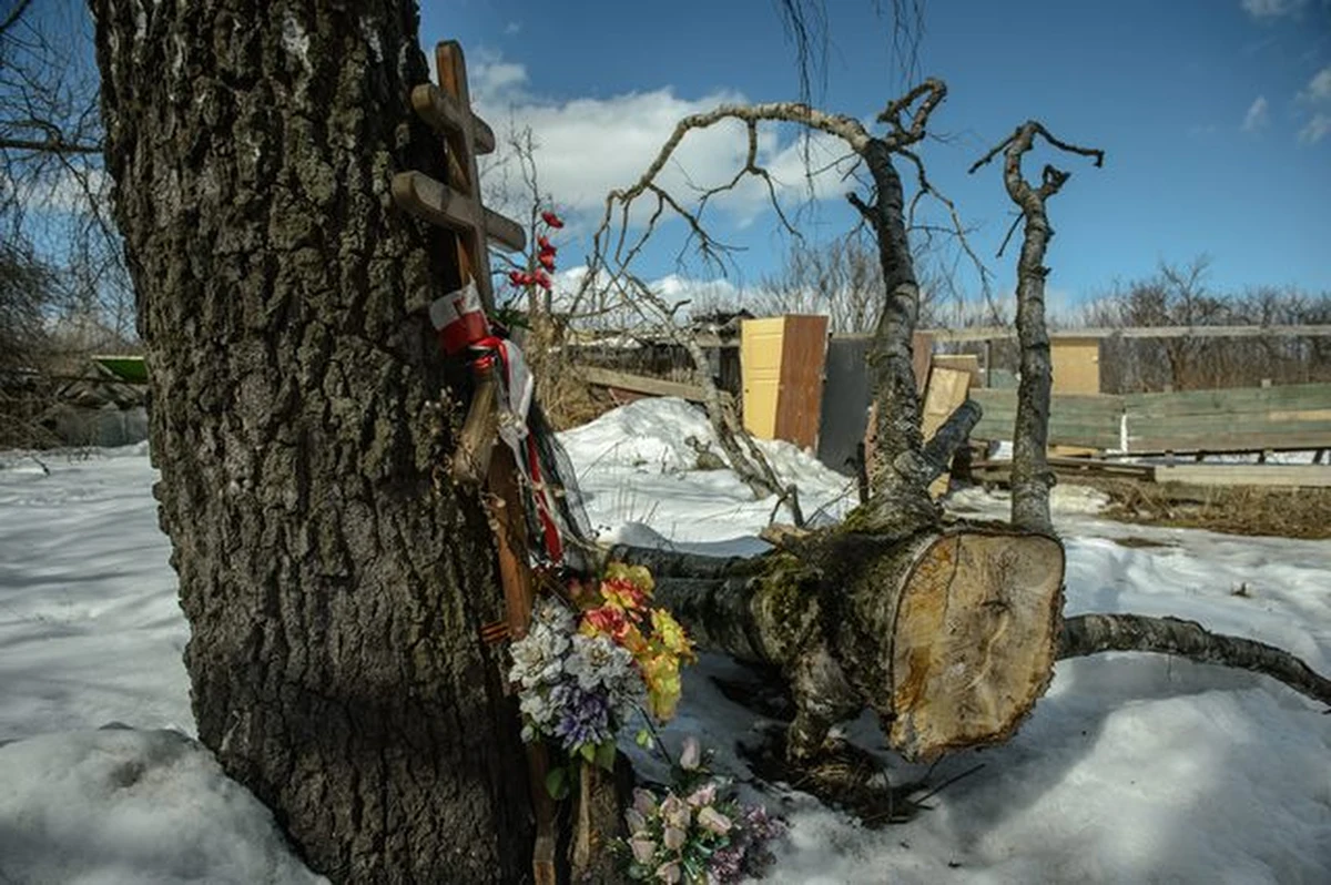 Zdjęcia satelitarne z 5 kwietnia 2010 r. nie dowodzą, że brzoza w Smoleńsku była już wtedy złamana, informuje "Nasz Dziennik". To co Chris Cieszewski uznał za złamane drzewo okazało się pozostałością płotu.