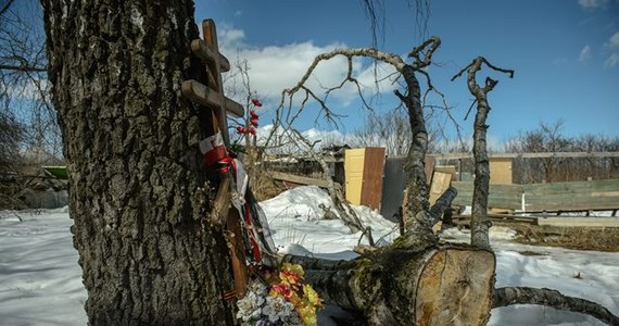 Zdjęcia satelitarne z 5 kwietnia 2010 r. nie dowodzą, że brzoza w Smoleńsku była już wtedy złamana, informuje "Nasz Dziennik". To co Chris Cieszewski uznał za złamane drzewo okazało się pozostałością płotu.