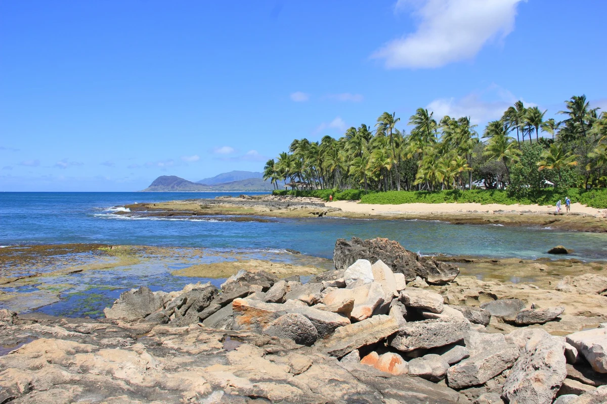 Nawet kilkanaście par z Polski każdego miesiąca bierze ślub na hawajskich plażach. Rosnące zainteresowanie turystyką ślubną można zaobserwować od kilku lat - tłumaczy korespondentowi RMF FM Pawłowi Żuchowskiemu Bożena Jarnot, Konsul Honorowa RP na Hawajach.