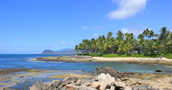 Nawet kilkanaście par z Polski każdego miesiąca bierze ślub na hawajskich plażach. Rosnące zainteresowanie turystyką ślubną można zaobserwować od kilku lat - tłumaczy korespondentowi RMF FM Pawłowi Żuchowskiemu Bożena Jarnot, Konsul Honorowa RP na Hawajach.