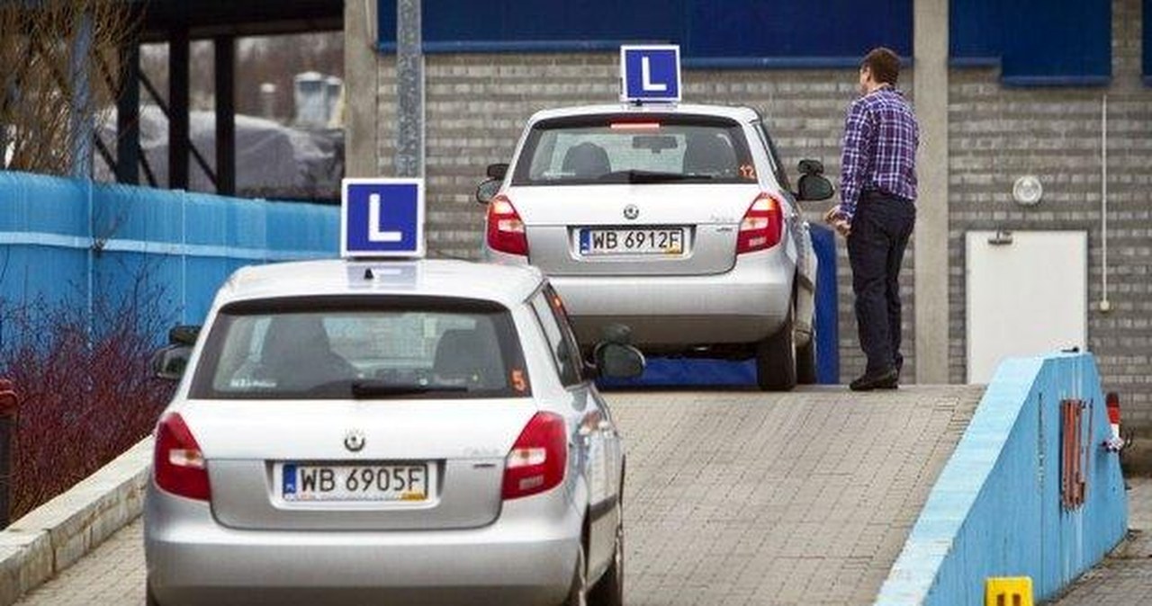 Tylko co trzeci zdaje egzamin na prawo jazdy - Motoryzacja w INTERIA.PL