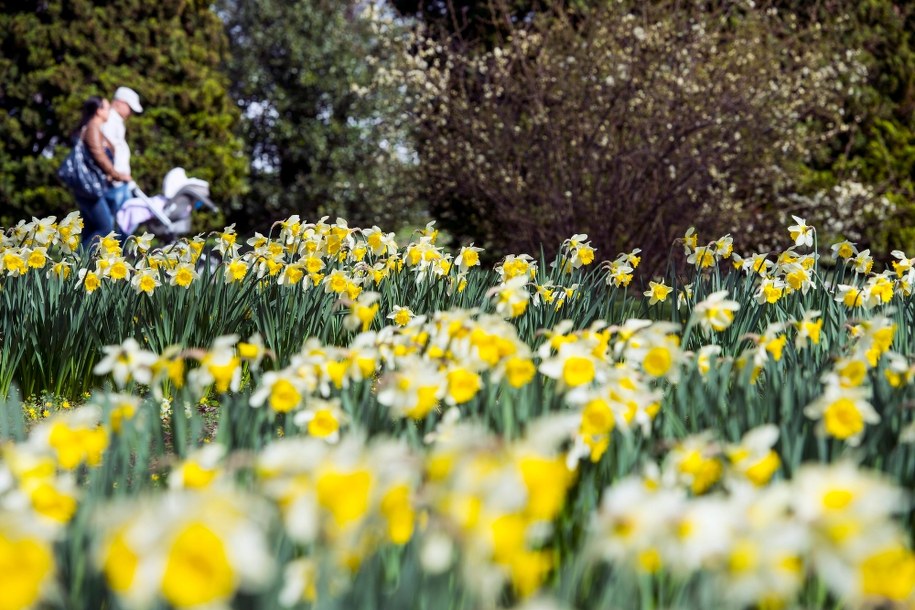 /JEAN-CHRISTOPHE BOTT /PAP/EPA