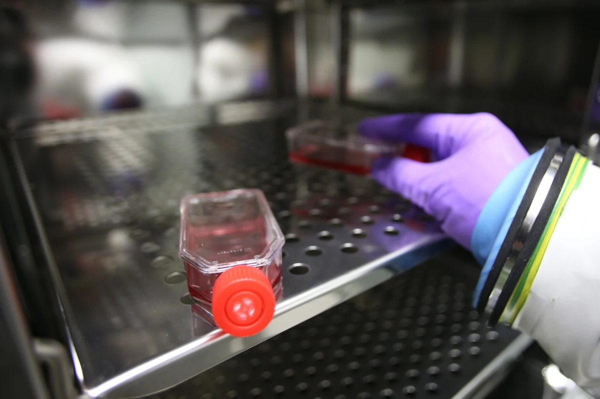 Władze Mali informują o wykryciu trzech przypadków gorączki krwotocznej. Pacjenci zostali umieszczeni w izolatkach. Badania wykażą, czy chorobę wywołał wirus Ebola, który w sąsiedniej Gwinei zabił już 86 osób.