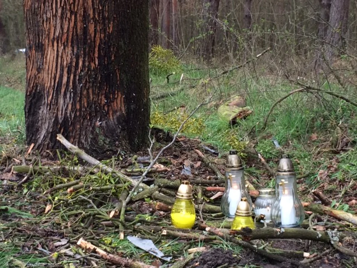 Policja nadal ustala, kto siedział za kierownicą feralnego auta, które w nocy rozbiło się w Klamrach koło Chełmna w Kujawsko-Pomorskiem. W wypadku zginęło siedmioro nastolatków w wieku od 13 do 17 lat. Dwie osoby przeżyły. Jak powiedziała nam podkomisarz Agnieszka Sobieralska, oficer prasowy komendanta powiatowego w Chełmnie, przed wypadkiem młodzi ludzie bawili się przy ognisku, potem bez wiedzy rodziców wzięli kluczyki i wsiedli do samochodu, które stało na podwórku.