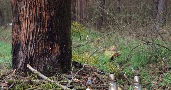 Policja nadal ustala, kto siedział za kierownicą feralnego auta, które w nocy rozbiło się w Klamrach koło Chełmna w Kujawsko-Pomorskiem. W wypadku zginęło siedmioro nastolatków w wieku od 13 do 17 lat. Dwie osoby przeżyły. Jak powiedziała nam podkomisarz Agnieszka Sobieralska, oficer prasowy komendanta powiatowego w Chełmnie, przed wypadkiem młodzi ludzie bawili się przy ognisku, potem bez wiedzy rodziców wzięli kluczyki i wsiedli do samochodu, które stało na podwórku.