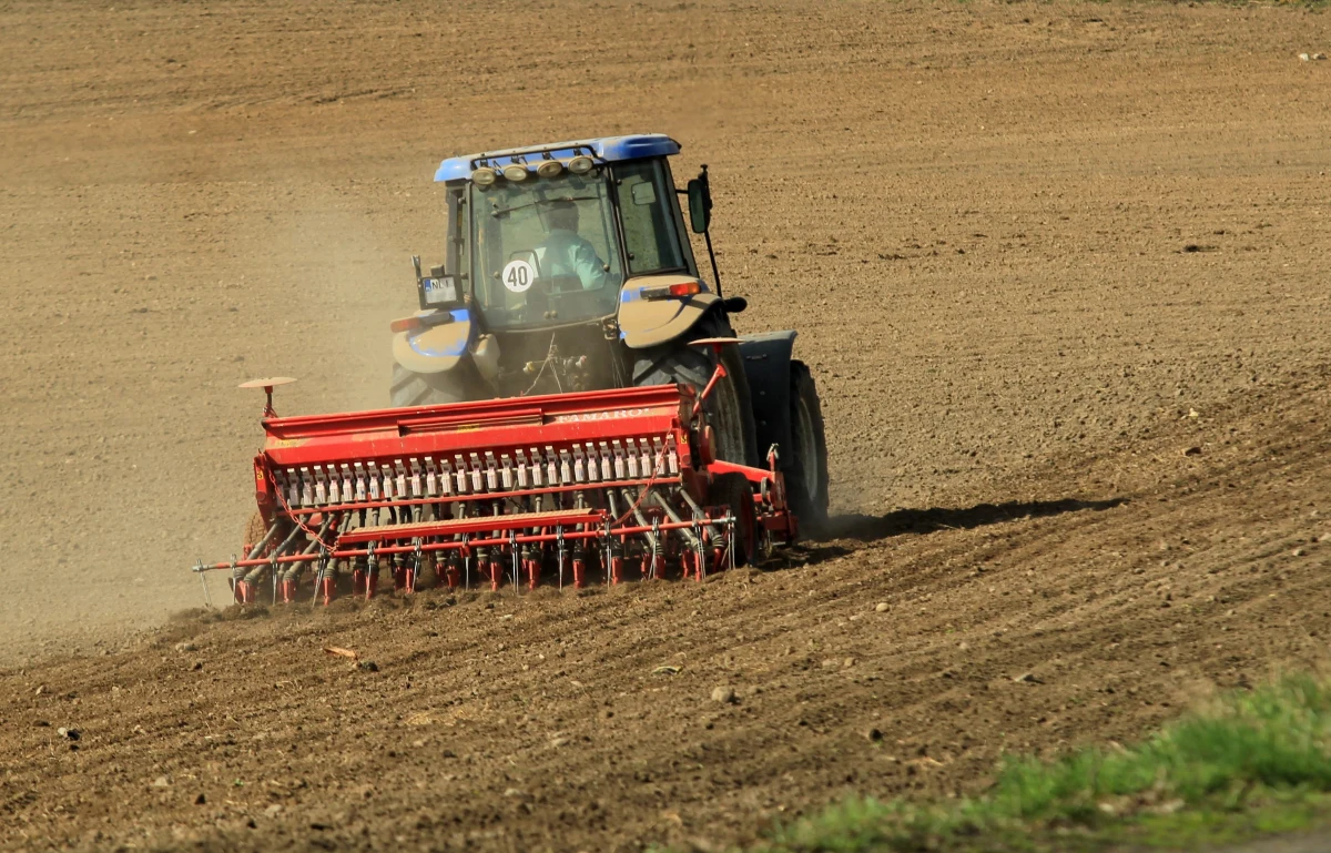 Zespół Ekspertów Agencji Rynku Rolnego przewiduje, że po sezonowym spadku cen pszenicy podczas żniw, we wrześniu zboże to podrożeje i jego cena może być o 5-15 proc. rok temu. Obecnie pszenica konsumpcyjna kosztuje 800-830 zł za tonę.