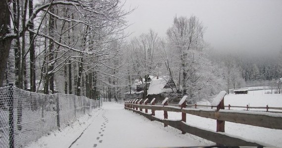 Śnieg wrócił w Beskidy i Tatry! Dziś spadło tam kilkanaście centymetrów śniegu. Ratownicy przestrzegają, że warunki turystyczne w wyższych rejonach gór są trudne. Na Babiej Górze obowiązuje pierwszy stopień zagrożenia lawinowego.