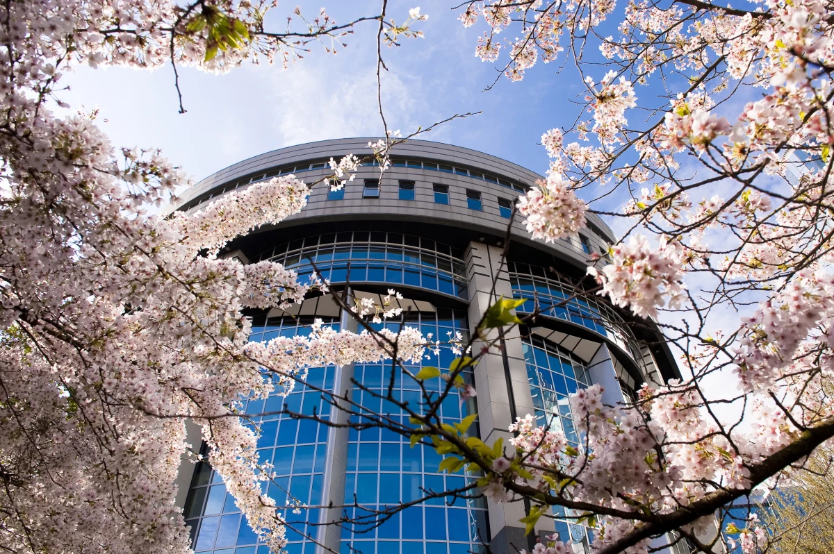 Konrad Szymański zwyciężył w rankingu najlepszych polskich eurodeputowanych przygotowanym przez "Rzeczpospolitą". Dziennik podkreśla, że najbardziej aktywni medialnie politycy wysłani przez swoje partie do Brukseli - np. Jacek Kurski, Michał Kamiński i Zbigniew Ziobro - są na drugim biegunie tego zestawienia. 