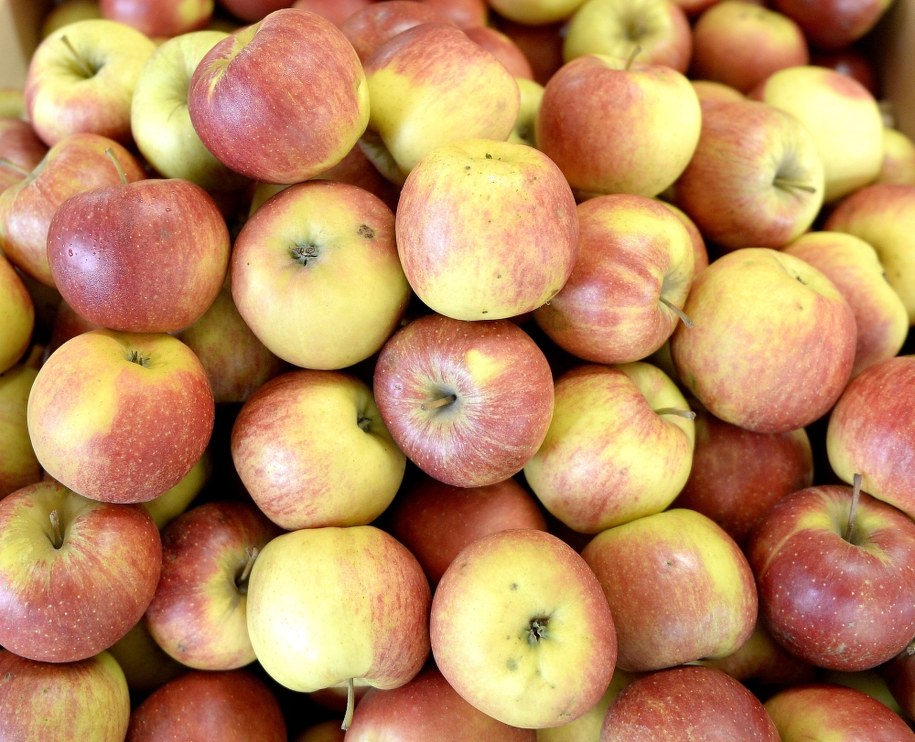 /Darek Delmanowicz /PAP