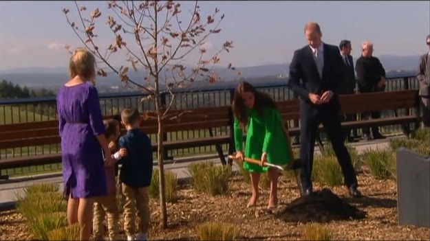 Książę i księżna Cambridge zasadzili drzewo w National Arboretum w Canberze. Uczestniczyli także w przyjęciu w parlamencie.


W sadzeniu drzewa parze królewskiej pomagali 6-letni bliźniacy - Oliver i Sebastian Lye. Sebastian ma zespół Downa oraz zaburzenia wzroku i słuchu. Matka chłopców - Moira Lye walczy z rakiem.


Później para książęca uczestniczyła w przyjęciu w Parliament House, gdzie William podziękował australijskiej ludności za ich gościnność. Z kolei australijski premier pochwalił parę za ich poświęcenie, wdzięk i ciepło.


W piątek William, Kate i ich synek George będą uczestniczyć w uroczystościach z udziałem kombatantów w Canberze. Potem zakończą trzytygodniową podróż po Australii i Nowej Zelandii.