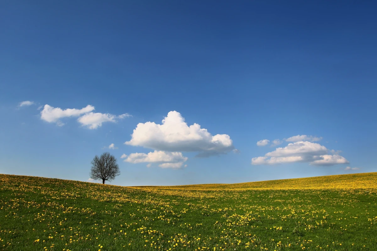 Początek maja nie zapowiada się dobrze. W pierwszy i drugi dzień miesiąca pogoda w kratkę - będzie padać, ale możemy liczyć także na chwile ze słońcem. W sobotę 3 maja nastąpi załamanie pogody - prognozujemy duże zachmurzenie i silne opady. Ochłodzi się. Temperatura spadnie do 9 stopni Celsjusza.