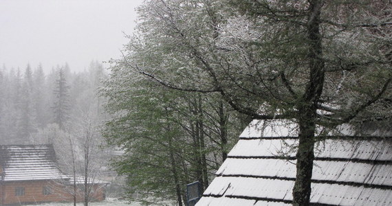 Śnieg zastał rano turystów, którzy majówkę spędzali w Tatrach. Na Kasprowym Wierchu leży 22 cm śniegu. Ratownicy TOPR w nocy odnaleźli turystkę, która samotnie wybrała się w rejon Starorobociańskiego Wierchu. 