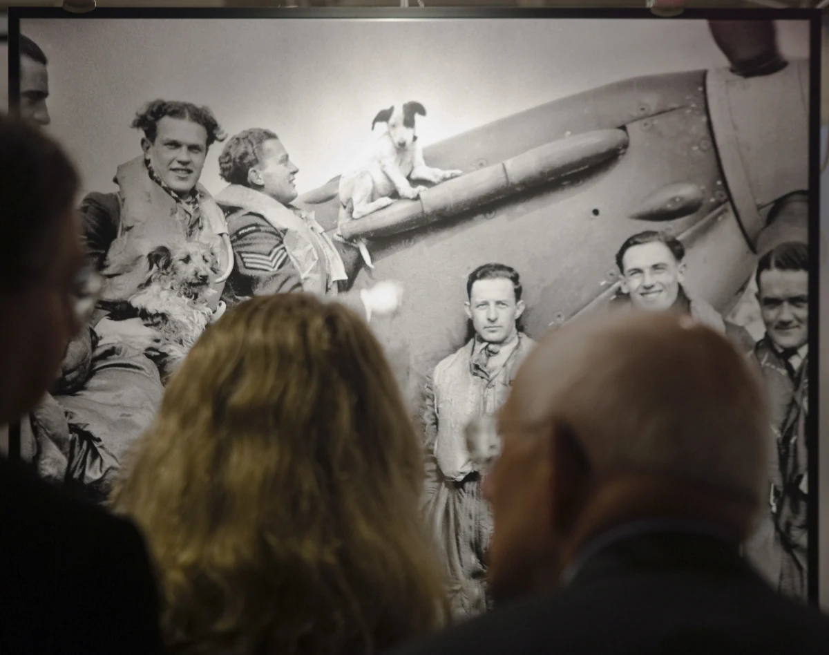 W przyszłym tygodniu do Polski zostaną sprowadzone prochy pierwszego polskiego dowódcy Dywizjonu 303, płk. pil. Zdzisława Krasnodębskiego oraz jego żony Wandy. Informację przekazało Ministerstwo Obrony Narodowej.