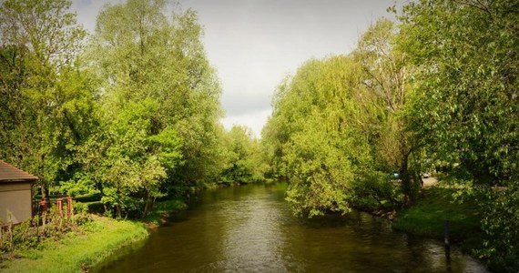 Brodnica jest otoczona setkami jezior – nic więc dziwnego, że miejscowi kucharze specjalizują się w rybach. Spróbujcie z nami okonia w koprze i słonowodnego, ale bardzo popularnego w Brodnicy – śledzia po prusku. 