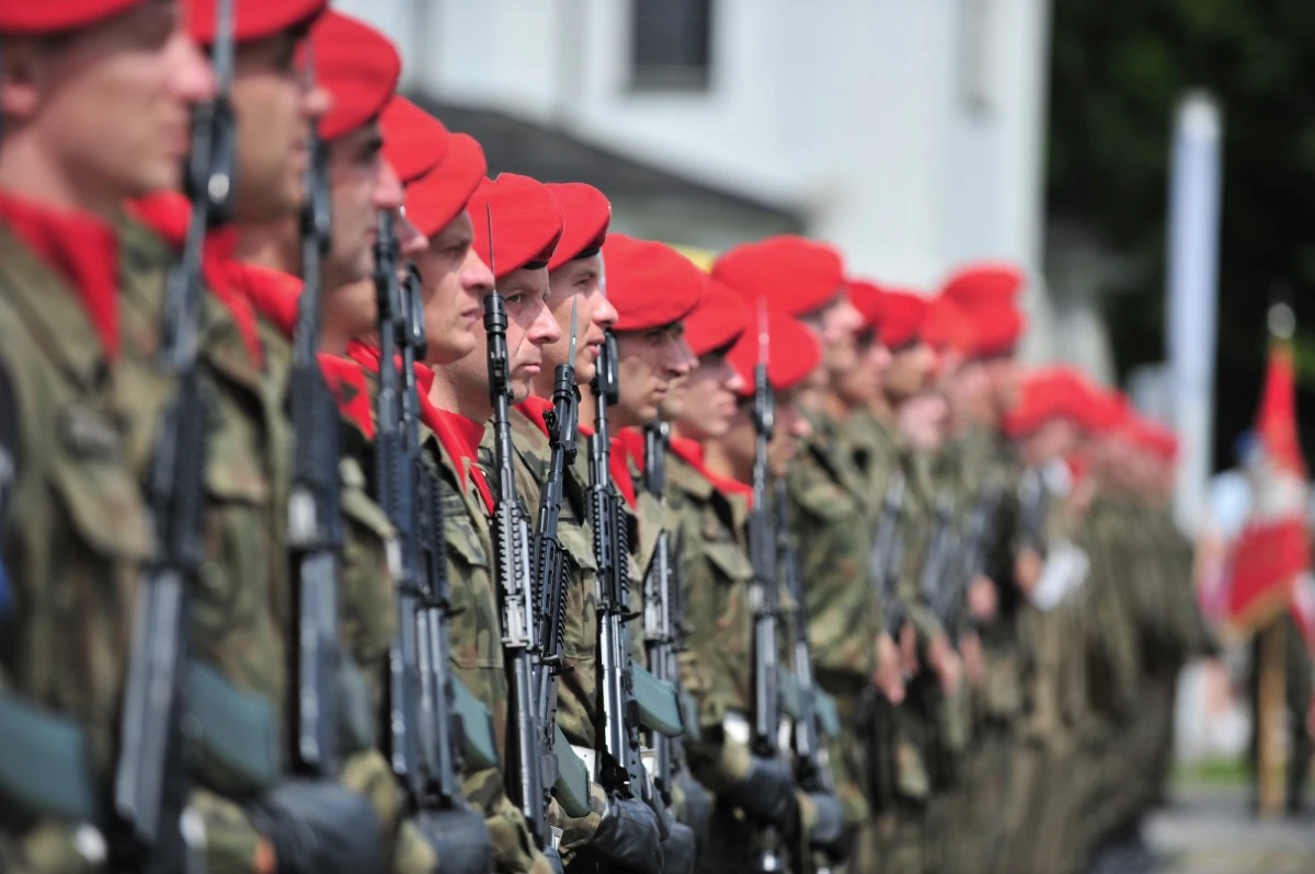 Nowa koncepcja Narodowych Sił Rezerwowych przewiduje zwiększenie liczebności armii ze 120 do 130 tysięcy osób. Przygotował ją na zlecenie MON zespół ekspertów Akademii Obrony Narodowej. W dokumencie mowa jest również o powołaniu dodatkowej służby z NSR. Chodzi o liczące 10 tysięcy żołnierzy Terenowe Oddziału Specjalne. 