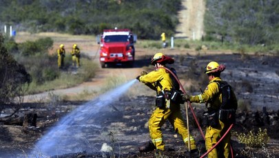 Pożary buszu w Kalifornii. Niesamowite zdjęcia 