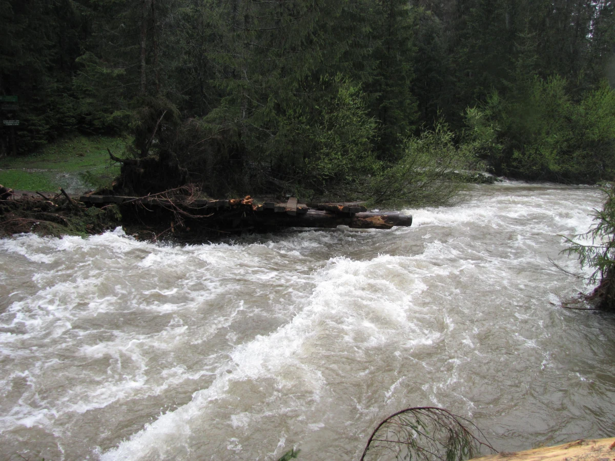 Silne deszcze i wichury spowodowały lokalne podtopienia, zakłócenia w transporcie drogowym i kolejowym oraz awarie energetyczne na Słowacji i w Republice Czeskiej. W pierwszym z tych krajów żywioł dotknął zwłaszcza region preszowski, w tym jego wszystkie północne powiaty, położone wzdłuż granicy z Polską. 