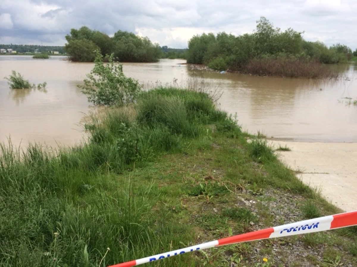 O drugiej w nocy fala kulminacyjna na Wiśle dotrze do Sandomierza - wynika z prognoz Instytutu Meteorologii i Gospodarki Wodnej. 
Fala ma być o ponad pół metra niższa od tej z 2010 roku. Strażacy apelują jednak do mieszkańców, żeby - dla własnego bezpieczeństwa - nie wchodzili na wały! 