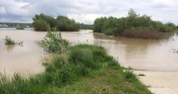 O drugiej w nocy fala kulminacyjna na Wiśle dotrze do Sandomierza - wynika z prognoz Instytutu Meteorologii i Gospodarki Wodnej. 
Fala ma być o ponad pół metra niższa od tej z 2010 roku. Strażacy apelują jednak do mieszkańców, żeby - dla własnego bezpieczeństwa - nie wchodzili na wały! 