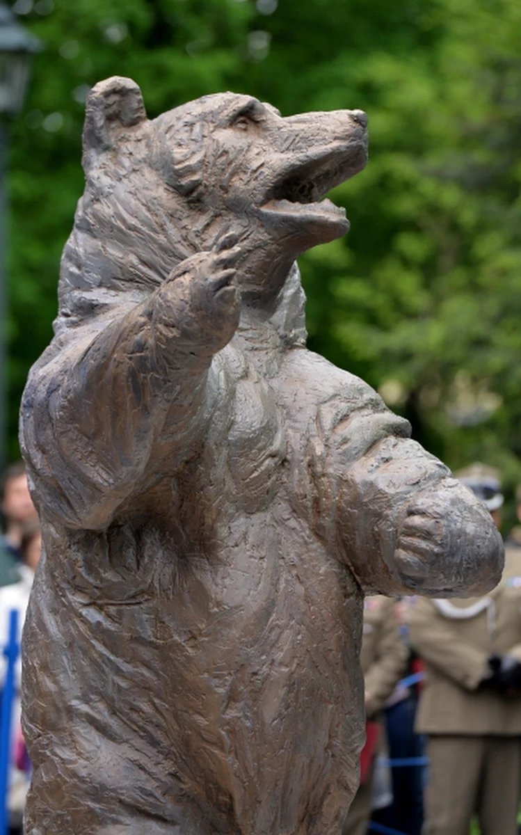 Pomnik kaprala niedźwiedzia Wojtka, jednego z symboli armii generała Władysława Andersa, stanął w krakowskim Parku Jordana w Krakowie. Uroczyste odsłonięcie monumentu odbyło się w 70. rocznicę zdobycia przez żołnierzy 2 Korpusu Polskiego klasztoru na Monte Cassino. 