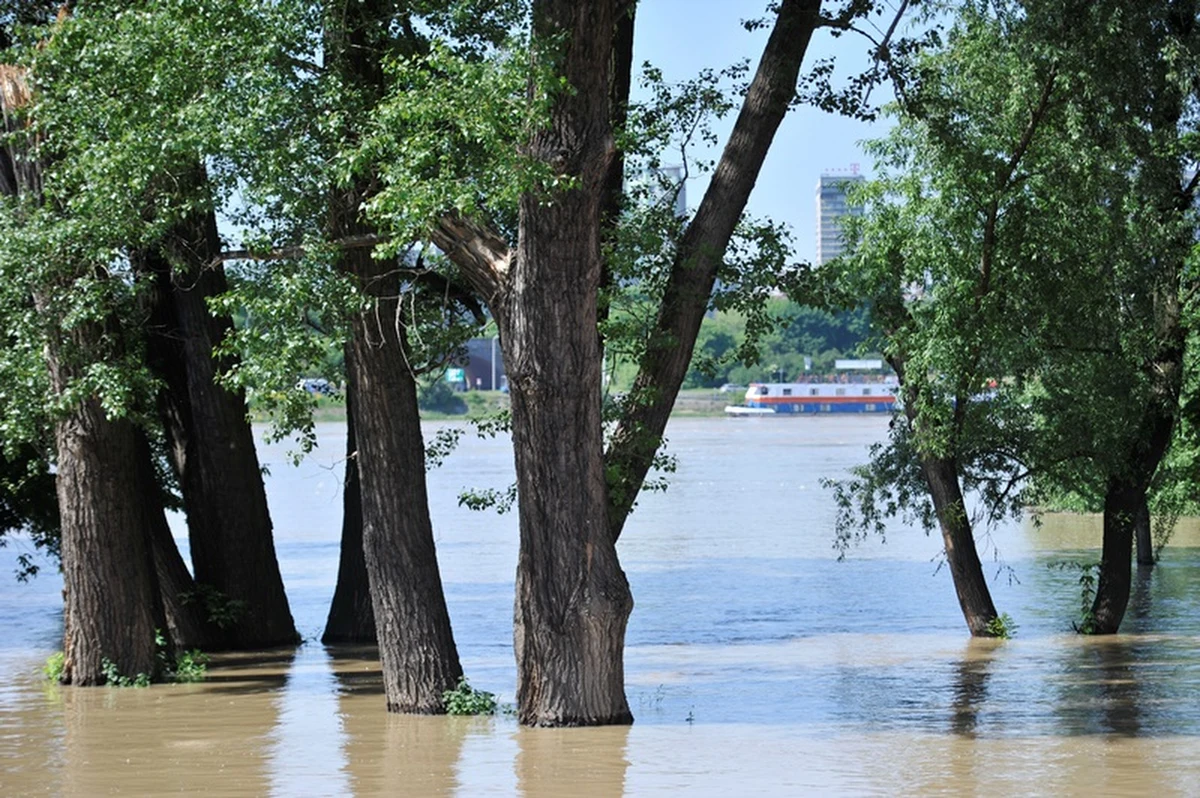 Fala kulminacyjna na Wiśle dotarła do Wyszogrodu. Poziom wody w tym momencie to 6 metrów i 97 cm. To kilka centymetrów mniej niż wcześniej prognozowano. Na miejscu są dodatkowe kompanie strażaków.
