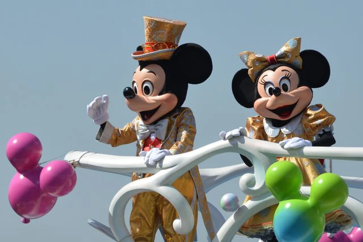 Disneyland Resort Polska to europejski oddział politycznego parku rozrywki imienia Walta Disneya. Ten prowincjonalny kompleks położony jest na wschodnich peryferiach Unii Europejskiej i zarządzany jest przez spółkę Euro Disney Bruksela. W niedzielę 25 maja 2014 roku odbyła się w nim kolejna cykliczna impreza pod tytułem "Polskie wybory do wyśnionego Euro-Disneylandu". Widowisko to, reklamowane nachalnie przez wiele tygodni, skończyło się widowiskową frekwencyjną klapą. 