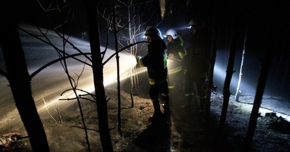 Tegoroczne pożary pochłonęły już prawie 400 hektarów polskich lasów. To prawie trzy razy więcej niż w tym samym okresie w ubiegłym roku. Straty są trudne do oszacowania, ale już wiadomo, że sięgną milionów złotych - alarmuje "Gazeta Polska Codziennie".