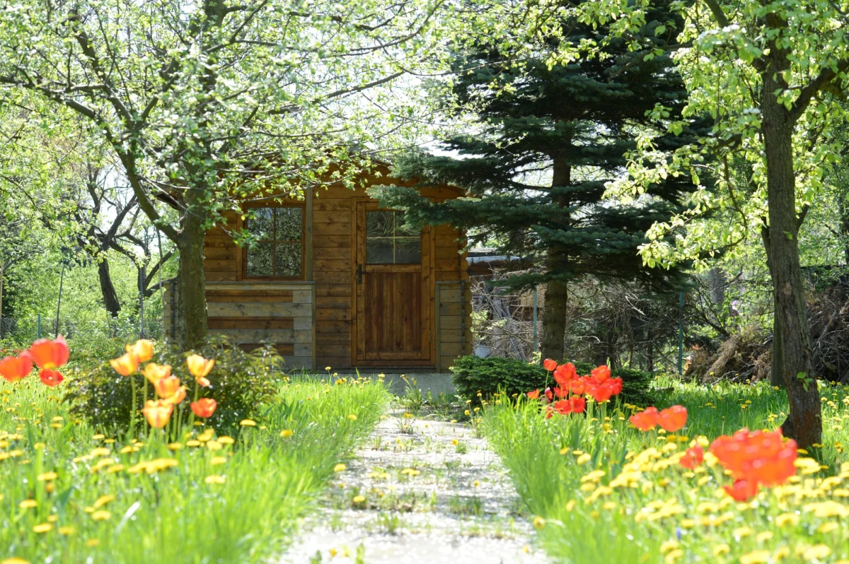 Większość z 900 tys. altan w ogródkach działkowych w kraju to samowole budowlane. Tak wynika z orzeczenia Naczelnego Sądu Administracyjnego, który na podstawie "Słownika języka polskiego" i "popularnej encyklopedii internetowej" podał definicję domku działkowca. O sprawie pisze "Dziennik Polski".