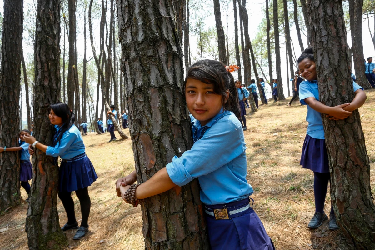 Ponad 2 tysiące osób zebrało się w stolicy Nepalu, Katmandu, aby w towarzystwie innych poprzytulać drzewa, a przy okazji pobić rekord Guinnessa. Wśród tych, którzy chcieli okazać czułość naturze większość stanowili uczniowie lokalnych szkół.  
