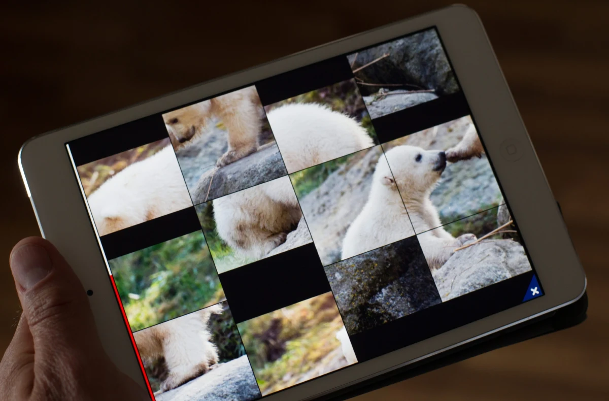 Za 5 lat tablet będzie miał już niemal co trzeci Polak, a smartfony zdecydowana większość - pisze "Rzeczpospolita", powołując się na raport firmy doradczej PwC. W Polsce urządzenia te cieszą się większą popularnością niż w innych krajach Europy Środkowo-Wschodniej. I ta tendencja ma się utrzymać. 