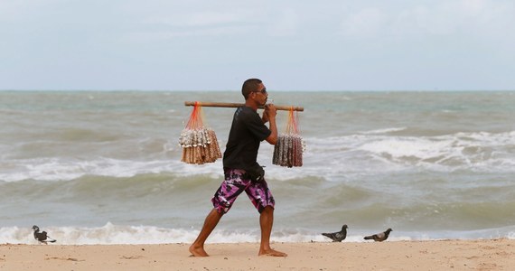 Władze Recife ostrzegają przed rekinami kibiców, którzy przyjadą do ich miasta na mecze piłkarskich mistrzostw świata. Wody oblewające plaże stolicy stanu Pernambuco są siedliskiem wielu gatunków tych drapieżnych ryb. W ciągu 21 lat doszło tam do 59 ataków na ludzi.