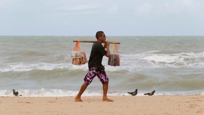 ​Mundial 2014: Rekiny atakują w Recife. Władze ostrzegają kibiców