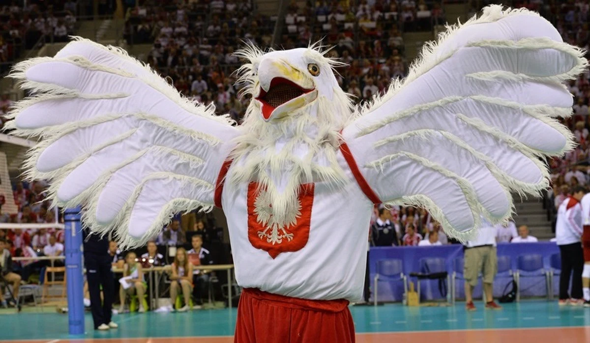 O godz. 19.30 w bydgoskiej Łuczniczce polscy siatkarze walczyć będą o czwarte zwycięstwo z rzędu w Lidze Światowej. Ich rywalami będą mistrzowie globu Brazylijczycy. 